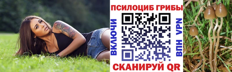 сколько стоит  Красноуральск  Галлюциногенные грибы Psilocybine cubensis 